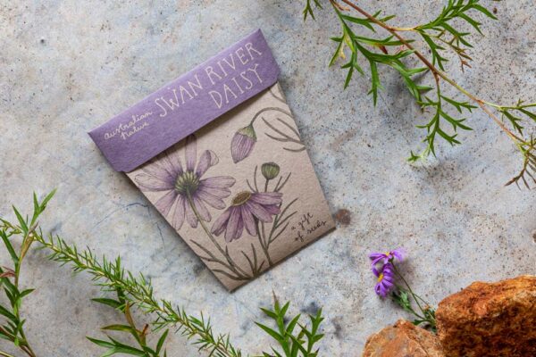 Swan River Daisy Seed Gift