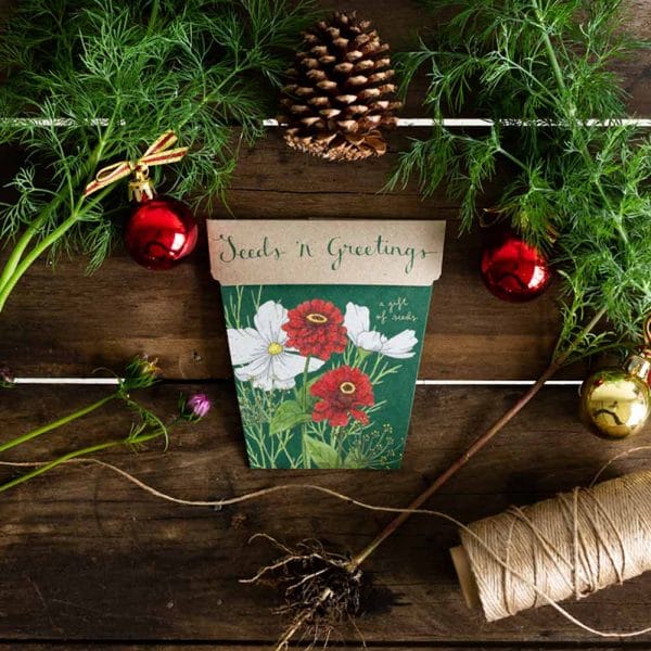 Seeds 'n Greetings, A Gift of Seeds