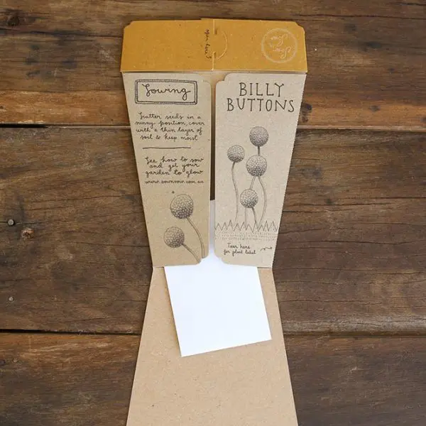 Billy Buttons Gift of Seeds - Image 3