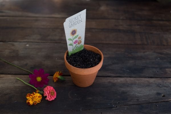 Secret Garden Gift of Seeds - Image 7