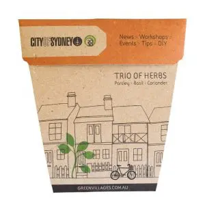 City Council Seeds
