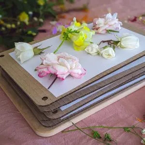 Giant Flower Press Cardboard Refill Pack - Out of Stock