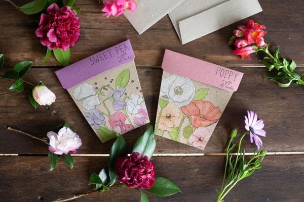 New Poppy & Sweet Pea, Plastic Free!