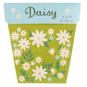 Daisy