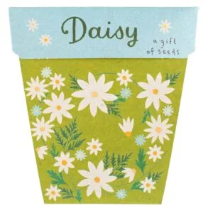 Daisy