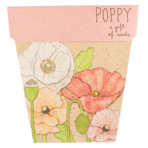 Poppy