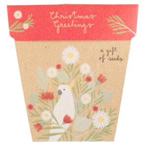 Christmas Greetings