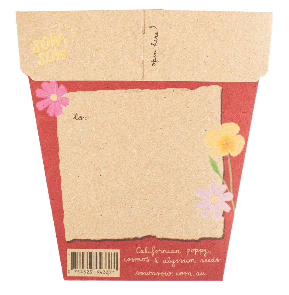 Christmas Wildflowers Gift of Seeds SOLD OUT - Image 2