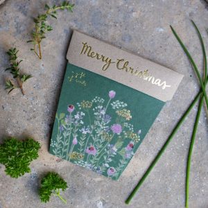 Christmas Herbs Seeds Set of 4
