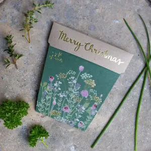 Christmas Herbs Seeds Set of 4