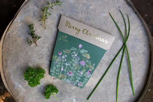 Christmas Herbs Gift of Seeds - Image 3