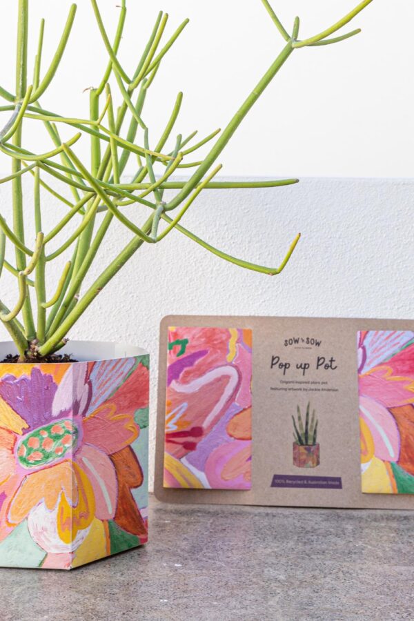 Pop Up Pot 'Bloom' Medium - Image 7