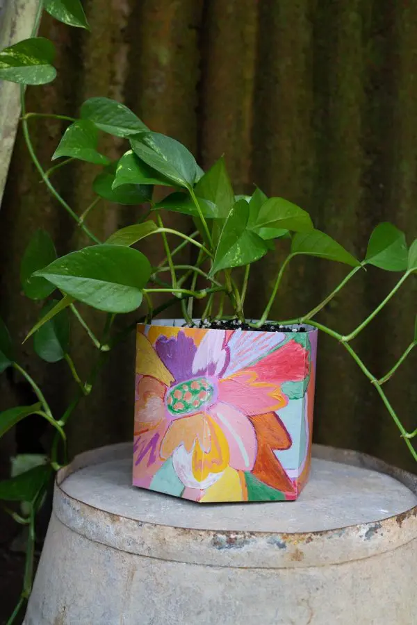 Pop Up Pot 'Bloom' Medium - Image 8