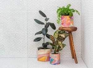 Jackie Anderson artist Pop Up Pots collection