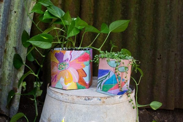Sow 'n Sow X Jackie Anderson Pop Up Pots