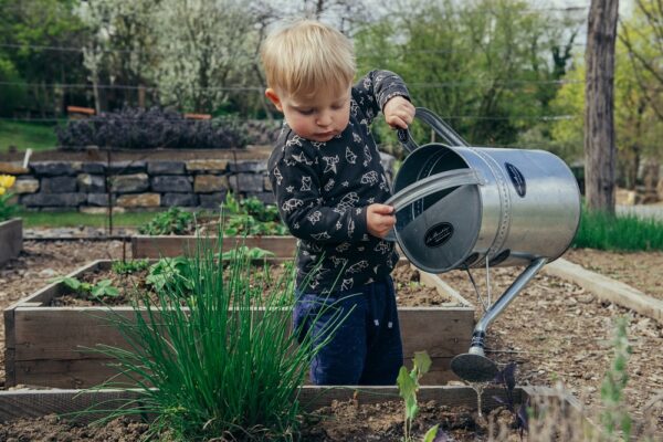 winter gardening tips