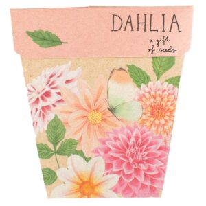 Dahlia Gift of Seeds
