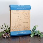Giant Gumnut Flower Press - LAST ONE