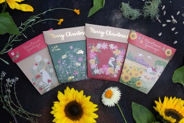 Christmas Seed Gift packs