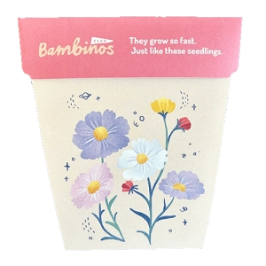 Bambinos