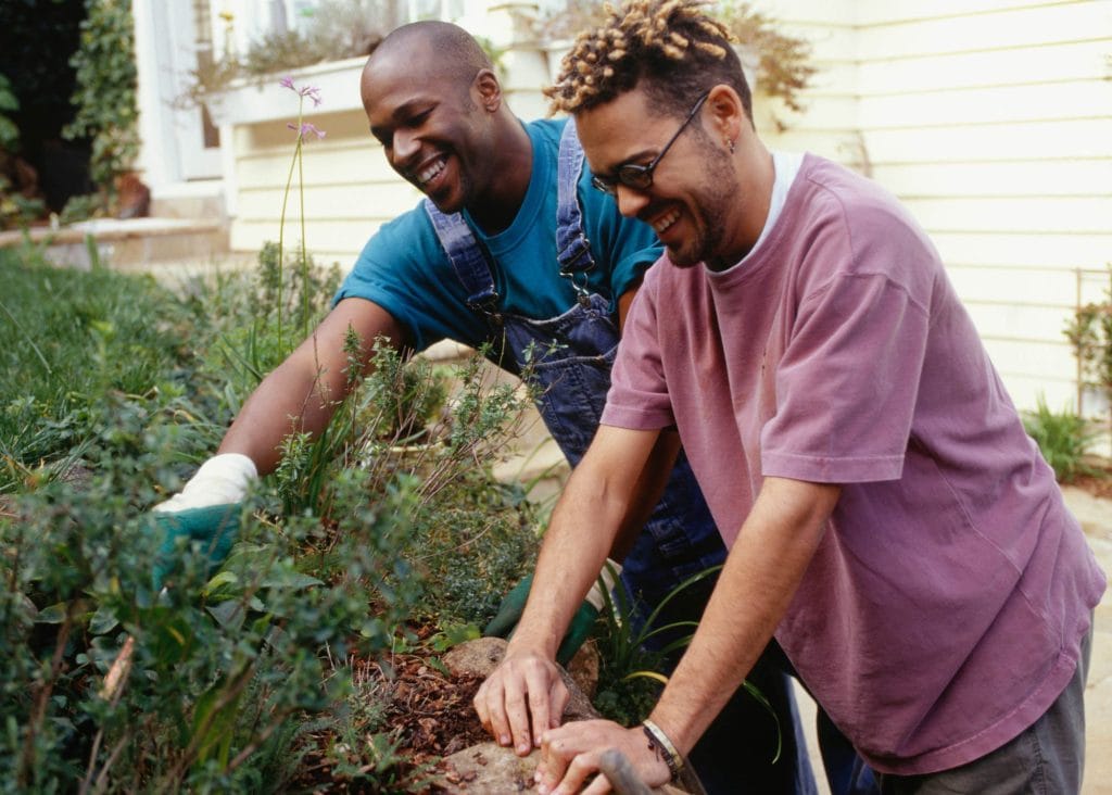 Sustainable gardening workshops