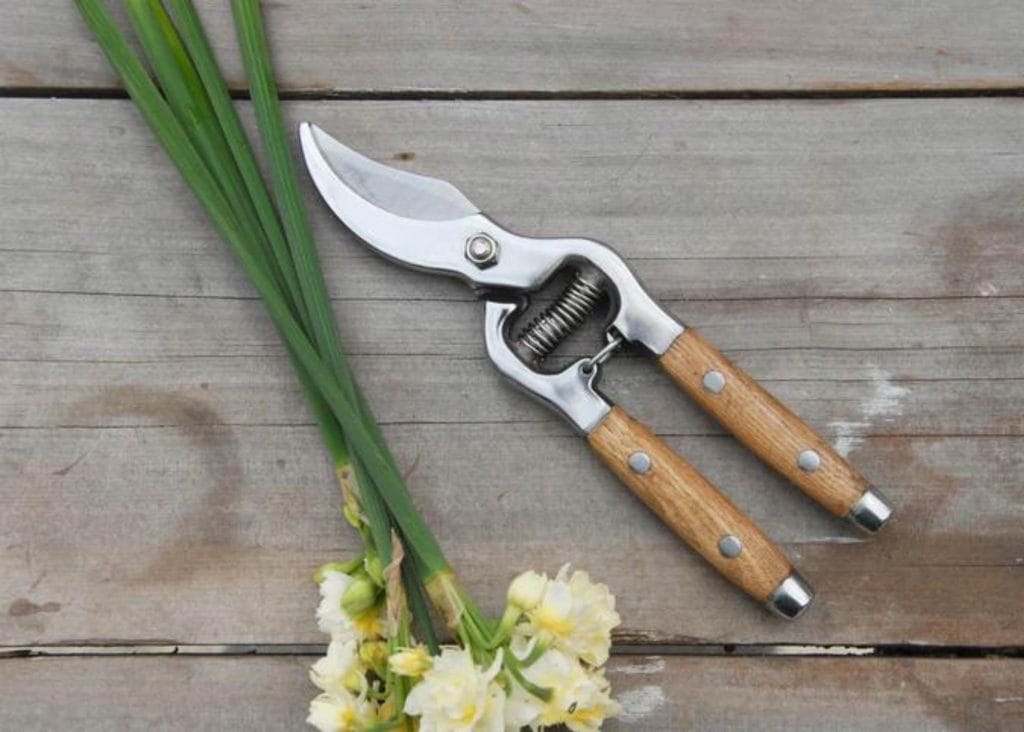 Gardening secateurs with timber handles