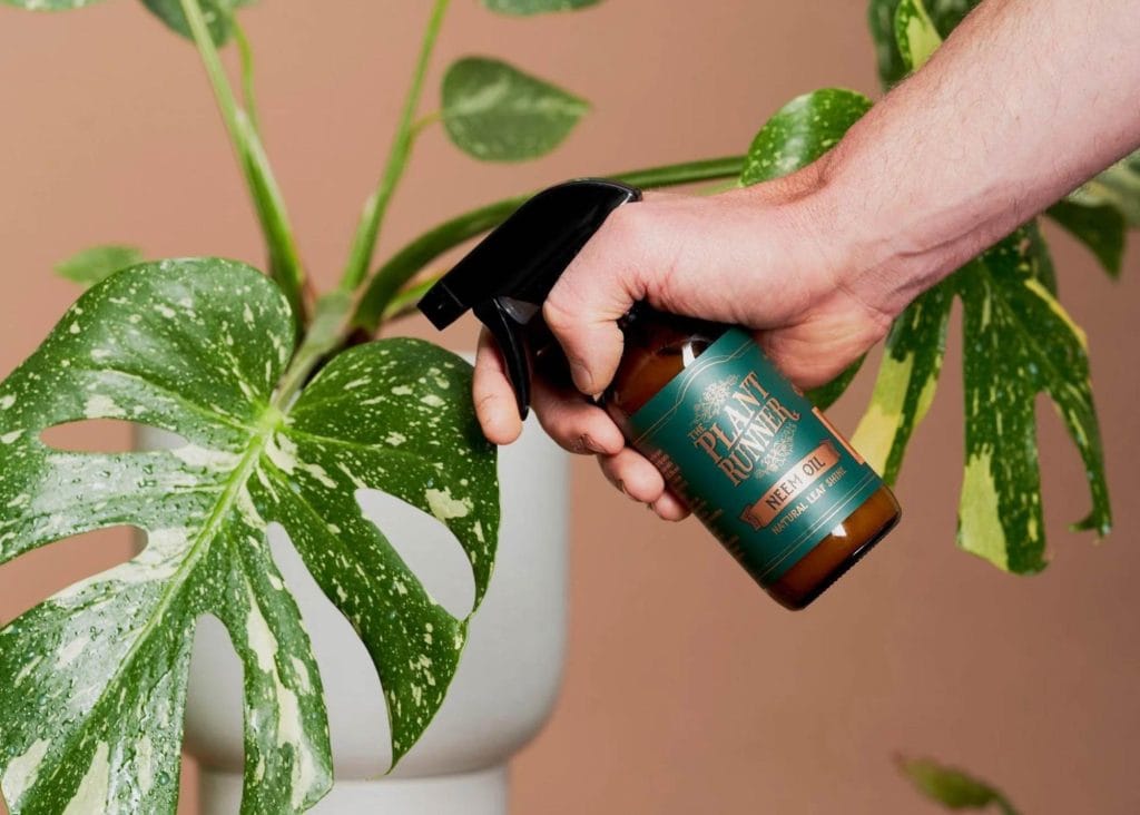 Neem leaf oil for indoor plants gardening gift