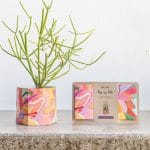 Pop Up Pot 'Bloom' Medium