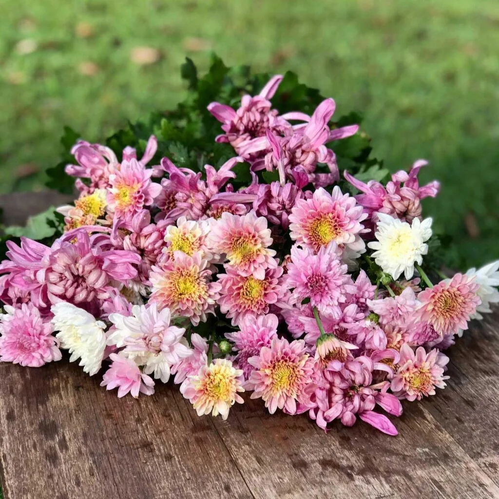 A bunch of pink flowers placed on a timber table.