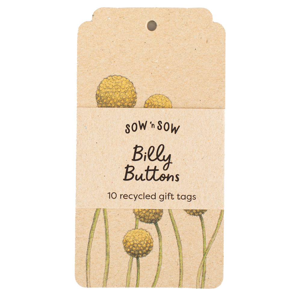 Billy Buttons Gift Tag 10 Pack