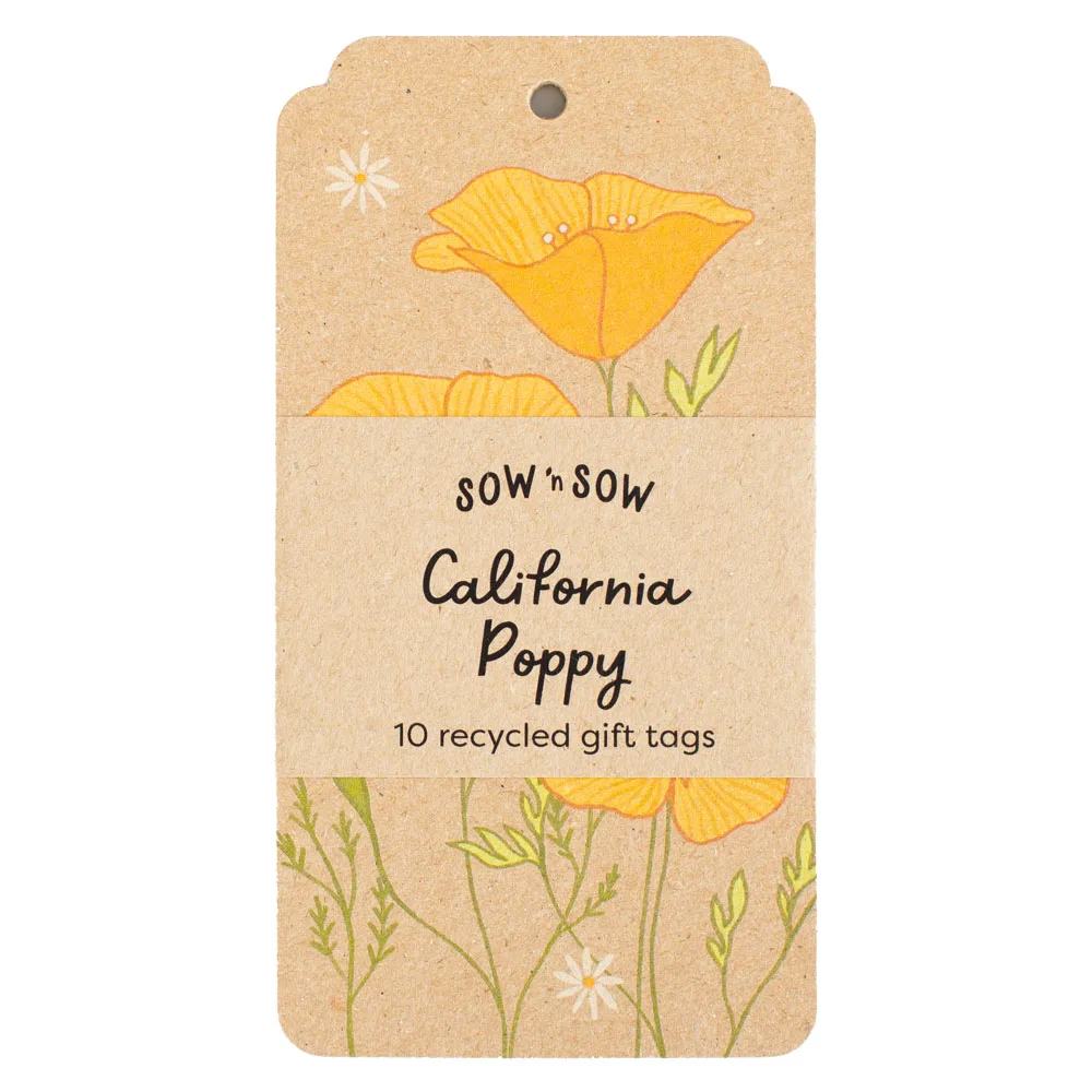 Any 6 Recycled Gift Tag Packs - Image 33