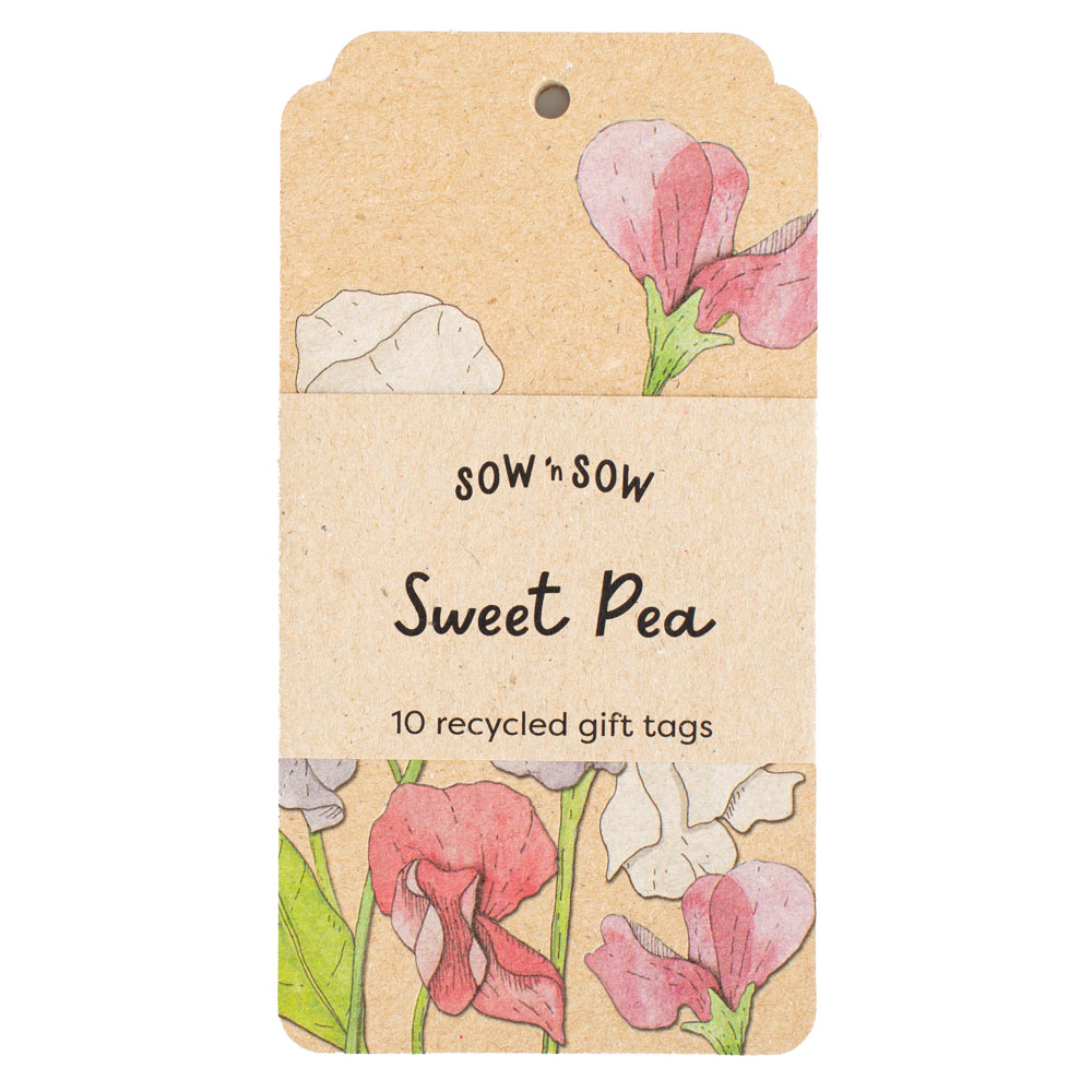Sweet Pea Gift Tag 10 Pack