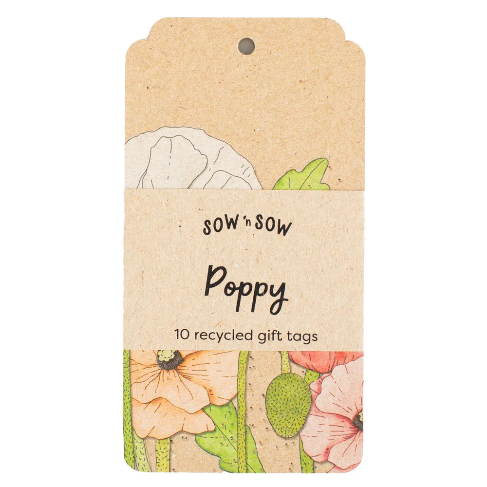 Any 6 Recycled Gift Tag Packs - Image 17