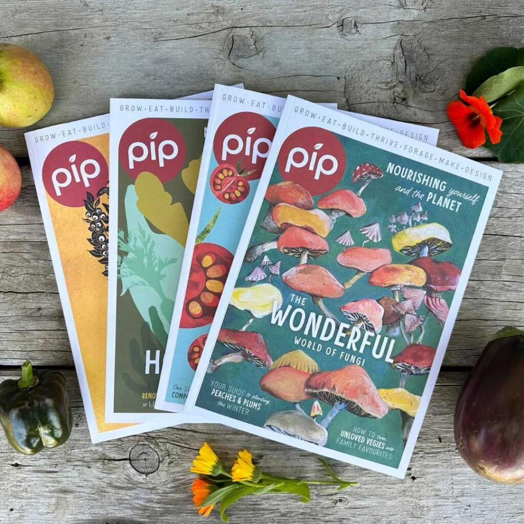 Four Pip Magazines spread across a timber table surrounded by plants and vegetables.