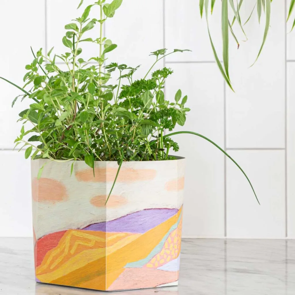 A pot plant with herbs featuring orange and purple artwork sitting on a kitchen bench.