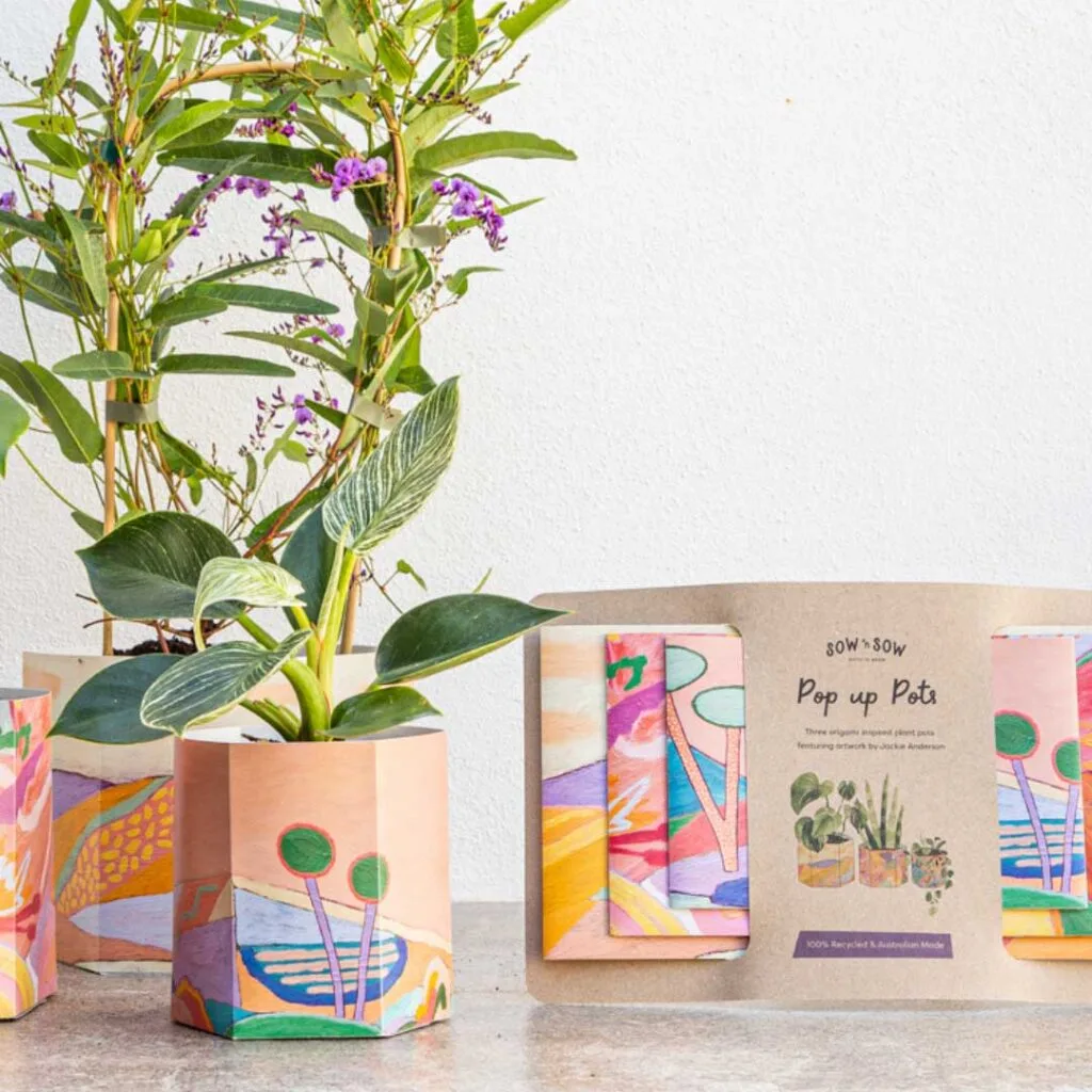 A range of plants potted in vibrant pots featuring artwork.