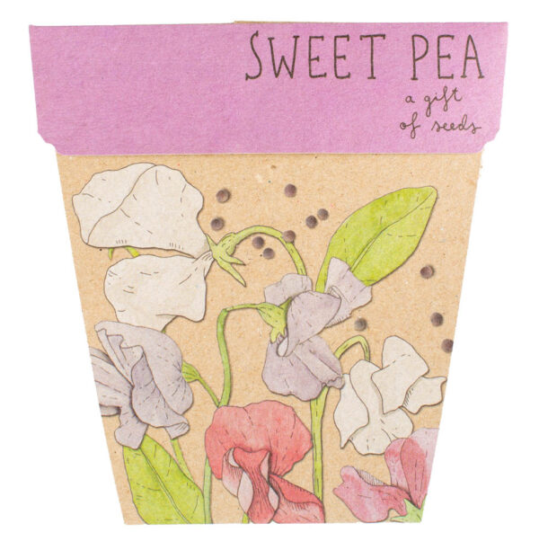 Gift of Seeds Flowers & Herbs Monthly Subscription - Image 5