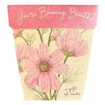 'You're Blooming Beautiful' limited edition Gift of Seeds (ws)
